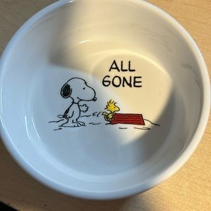Peanuts pet food dish